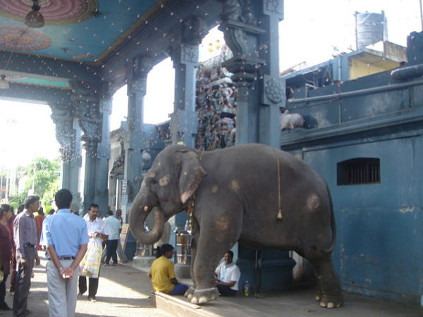 Entrance of the temple Entrance of the temple