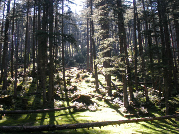 Seven Wonder Places Of India - Khajjiar Seven Wonder Places Of India - Khajjiar