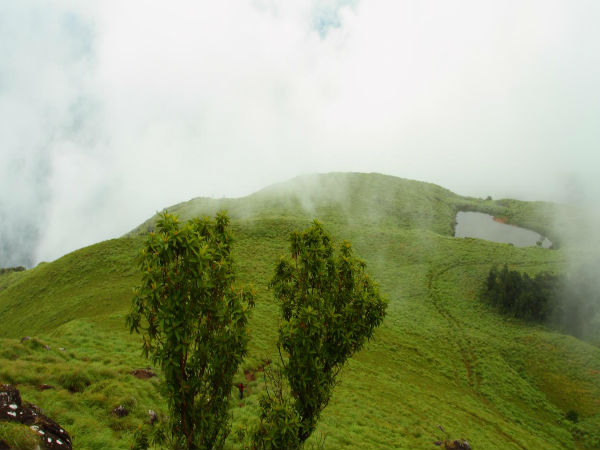 Trekking in the highest peak of Wayanad! Trekking in the highest peak of Wayanad!