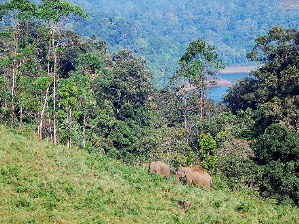 Kerala Trip Plan For 3 Days Kerala Trip Plan For 3 Days
