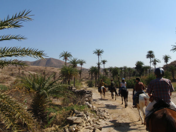 5 Places to go Horse riding in Rajasthan 5 Places to go Horse riding in Rajasthan