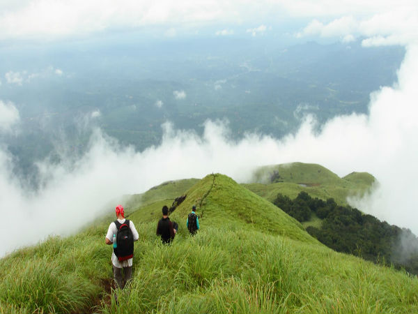 Trekking in the highest peak of Wayanad! Trekking in the highest peak of Wayanad!