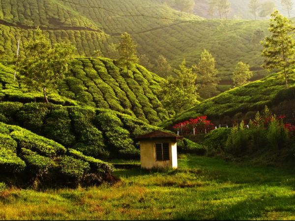 Kerala Trip Plan For 3 Days Kerala Trip Plan For 3 Days