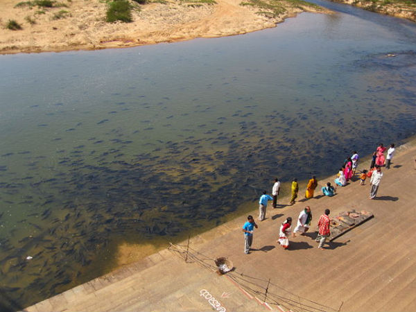 Feel the Tranquility at Sringeri! Feel the Tranquility at Sringeri!