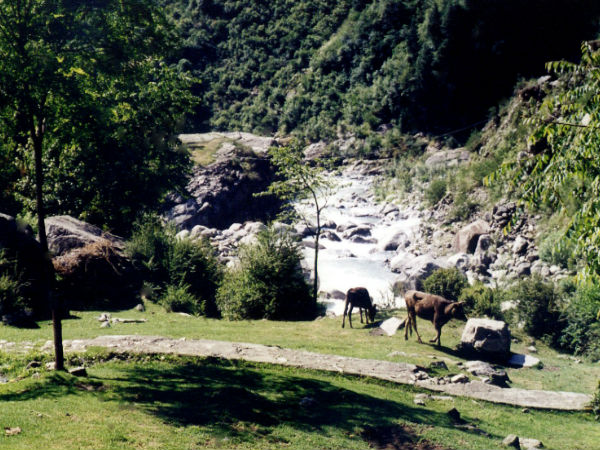 7 Best Places You Must Visit In Manali! 7 Best Places You Must Visit In Manali!