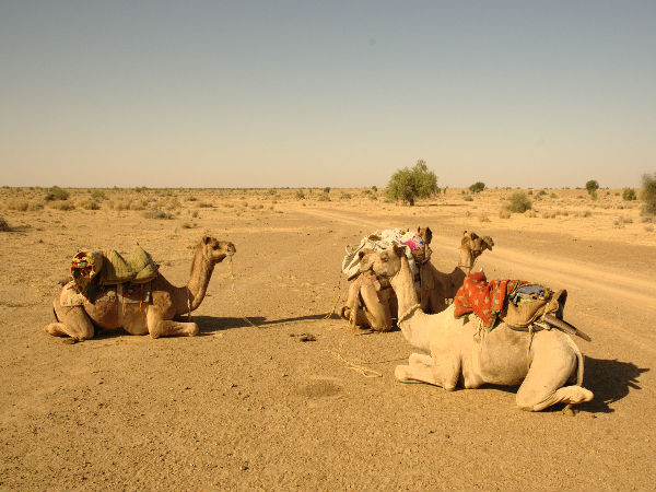 5 Day Rajasthan Itinerary 5 Day Rajasthan Itinerary