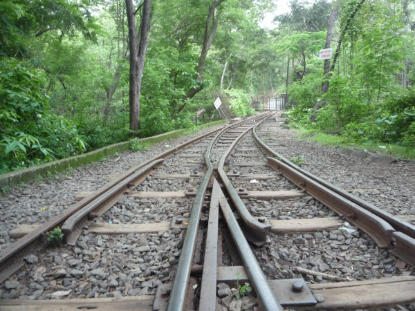 Sanjay Gandhi National Park in Mumbai Sanjay Gandhi National Park in Mumbai
