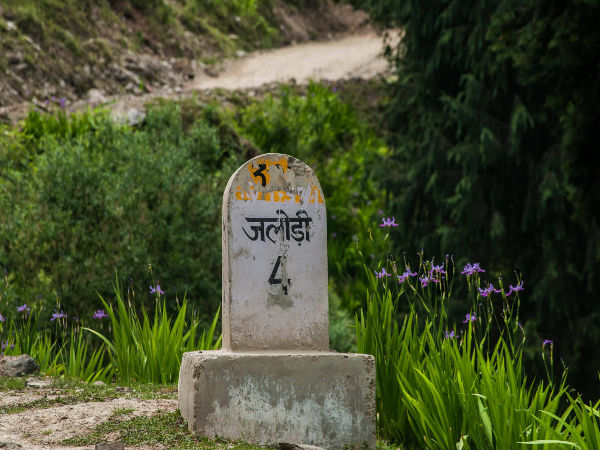 Road Trip From Delhi To Jalori Pass Road Trip From Delhi To Jalori Pass