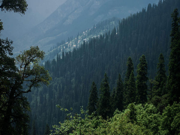 Road Trip From Delhi To Jalori Pass Road Trip From Delhi To Jalori Pass