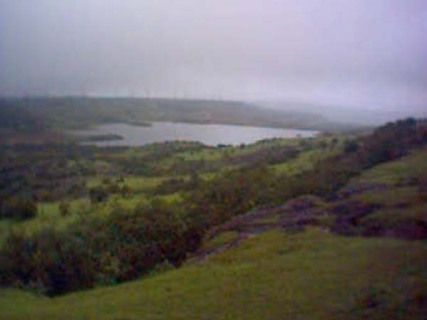 Kaas - Valley Of Flowers In Maharashtra Kaas - Valley Of Flowers In Maharashtra