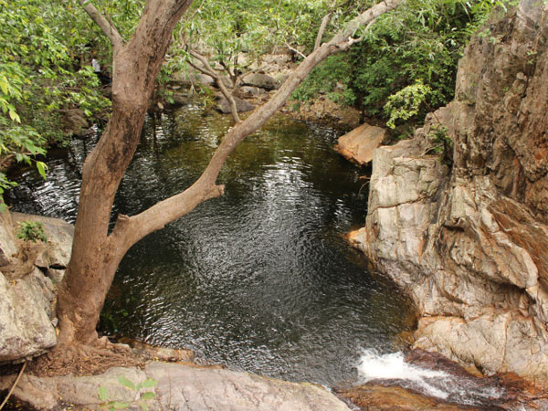 Trekking in the Nagalapuram Hill Trekking in the Nagalapuram Hill