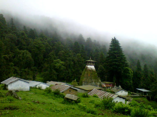 Get To Know About Binsar In Uttarakhand Get To Know About Binsar In Uttarakhand