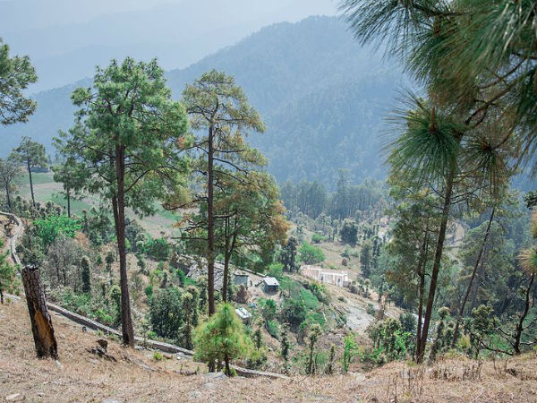 Get To Know About Binsar In Uttarakhand Get To Know About Binsar In Uttarakhand