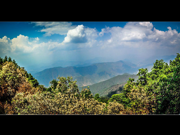 Get To Know About Binsar In Uttarakhand Get To Know About Binsar In Uttarakhand