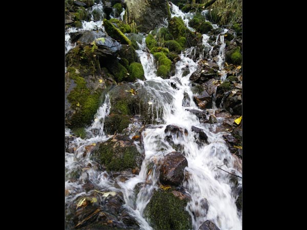 kheerganga trek from barshaini kheerganga trek from barshaini