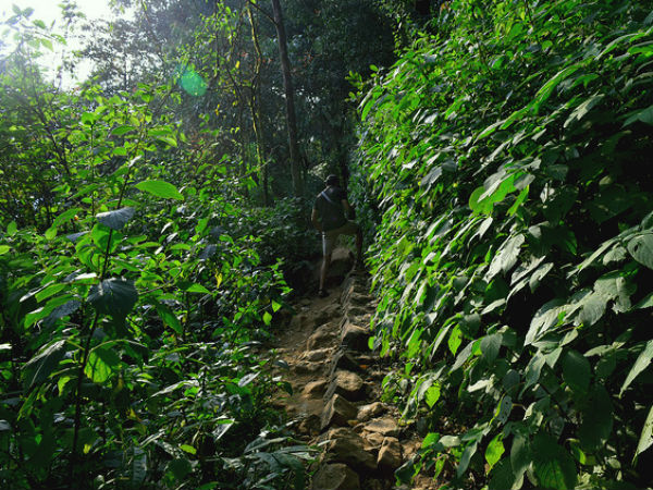paithalmala the hill station in kannur paithalmala the hill station in kannur