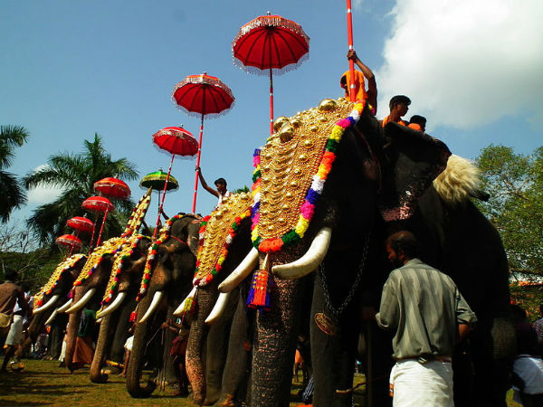The Pomp & Grandeur Of Thrissur Pooram The Pomp & Grandeur Of Thrissur Pooram