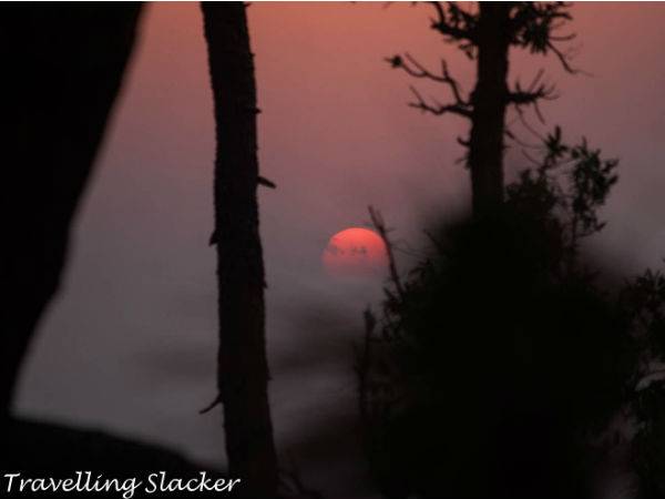 The Hidden Jewel Of Kasar Devi The Hidden Jewel Of Kasar Devi