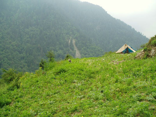 The Mountain Getaway Of Jibhi The Mountain Getaway Of Jibhi