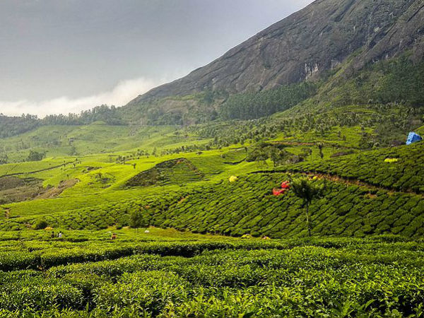 chokramudi trekking in munnar chokramudi trekking in munnar