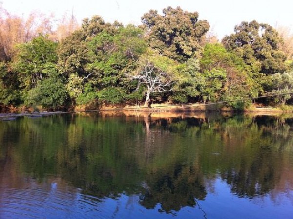 Wayanad photos, Kuruva Dweep - A Splendid Shot Wayanad photos, Kuruva Dweep - A Splendid Shot