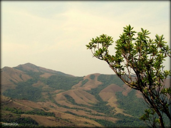 Chikmagalur photos, Daddypetta Road Chikmagalur photos, Daddypetta Road