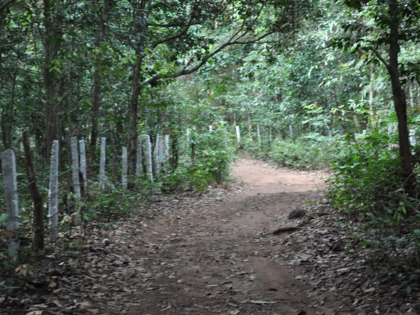 Agumbe photos, Jogigundi Falls - A Brisk Walk Agumbe photos, Jogigundi Falls - A Brisk Walk