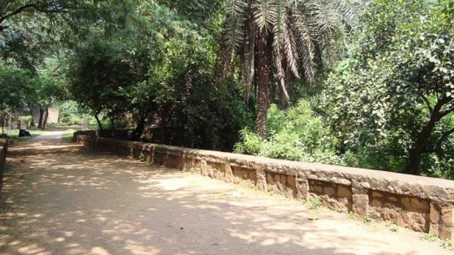 Delhi Ridge Delhi Delhi Ridge Photos, Sightseeing