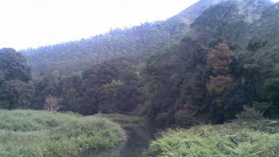 Aluva Tourism, Travel Guide & Tourist Places in