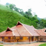 Rain Country Resort