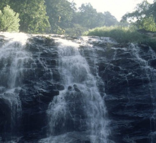 Ambatty Green Resort and Spa