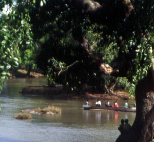 Ambatty Green Resort and Spa