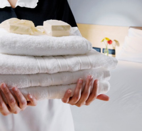 Waman's Hotel Orient Crown