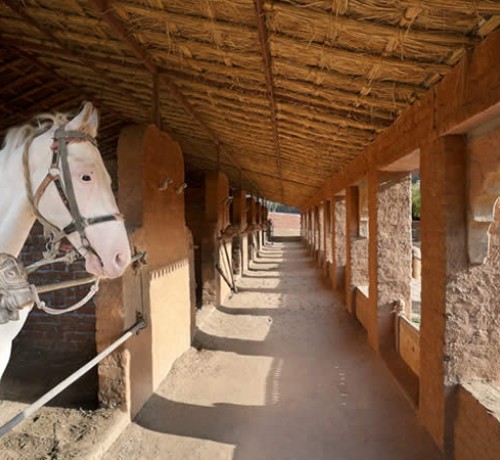 Horse stable