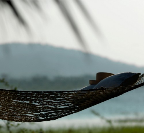Hammock