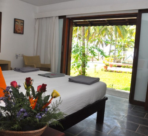 Pool-view-from-cottage