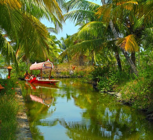 Boating along the backwaters