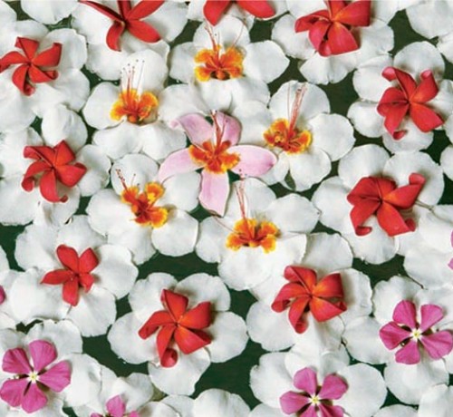 Texture mood Flowers