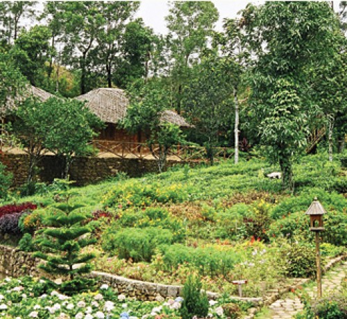 Cottages amidst greenery