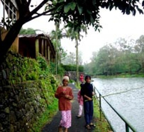 Guests by the lake 1