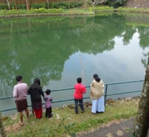 Guests by the lake 2