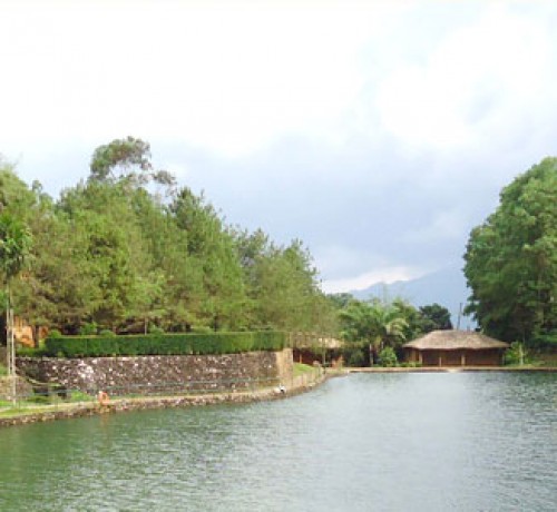 Peaceful environment