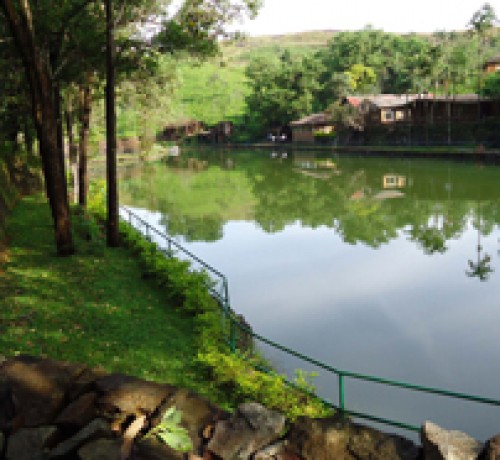 Rocky pathway by the lake