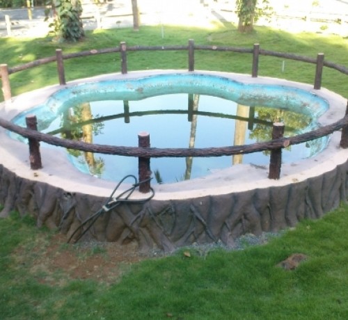 A small pool