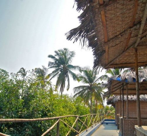 View from the Balcony