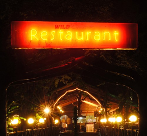Wild- Restaurant