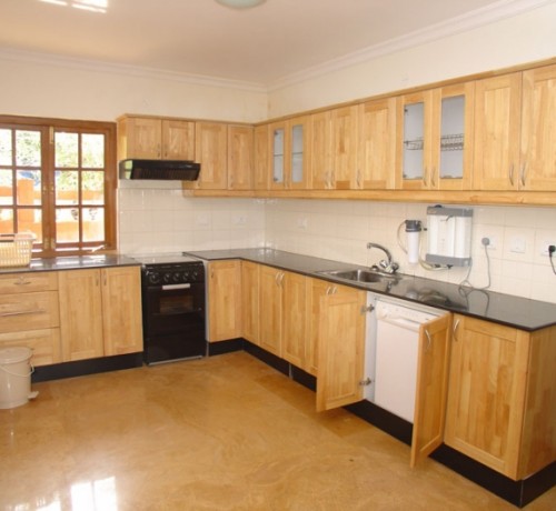 Luxury villa kitchen