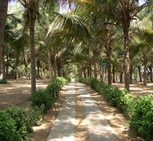 Pathway