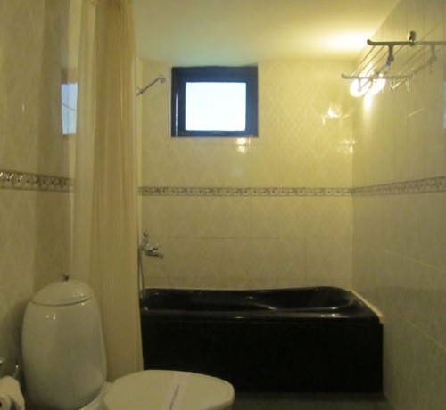 Executive Deluxe Rooms: Washroom