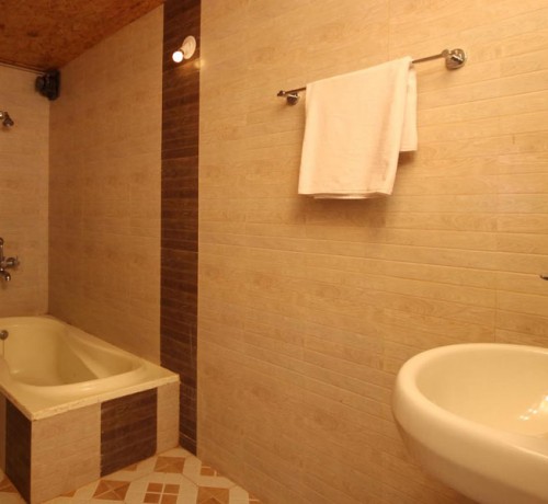 Super-deluxe-washroom